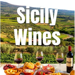 Wine Collecting Guide Kindle Edition by Author Name-0
