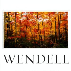 Counterpoint Poetry Kindle Edition - Nature & Place Poems Collection-0