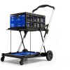 2 Tier Folding Shopping Cart LALFPET 198lb Capacity Removable Basket-1