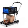 2 Tier Folding Shopping Cart LALFPET 198lb Capacity Removable Basket-3