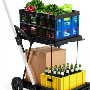 2 Tier Folding Shopping Cart LALFPET 198lb Capacity Removable Basket-0